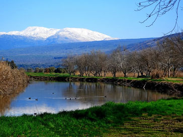 Friday February 14, 2025: Take 2