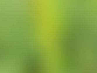 Sunday March 2, 2025: Take 2