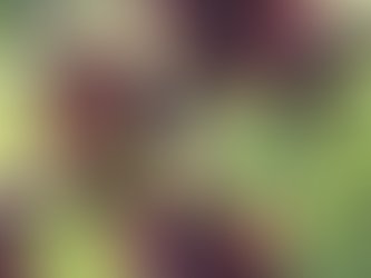 Thursday February 8, 2024