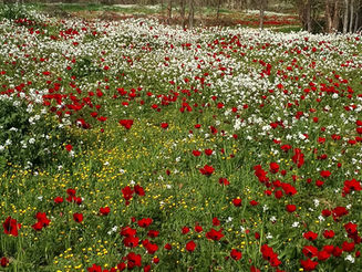 Friday January 30, 2026