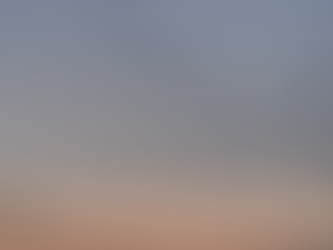 Sunday February 11, 2024: Take 3