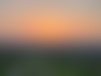 Sabbath, December 31, 2022