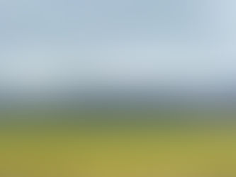 Tuesday November 19, 2024: Take 3