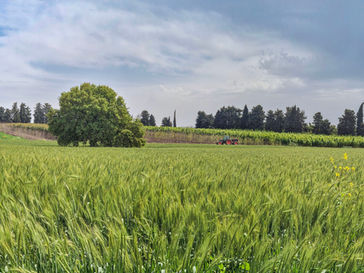 Thursday March 19, 2026