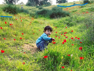 Sabbath February 8, 2025