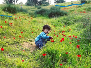 Sabbath February 8, 2025