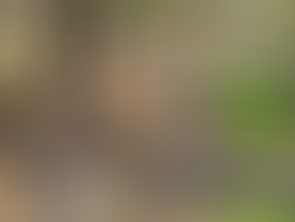 Sunday December 18, 2022