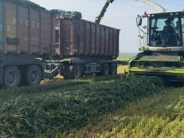 Friday March 15, 2024