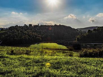 Wednesday January 29, 2025