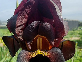 Monday January 22, 2024