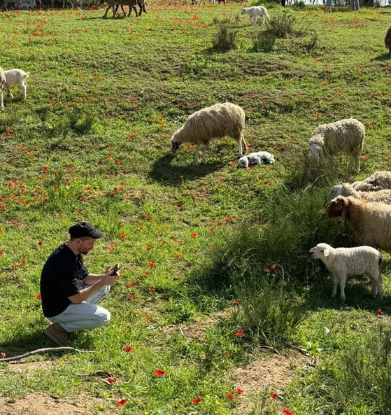 Sunday February 15, 2026