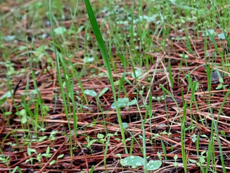 Wednesday November 29, 2023