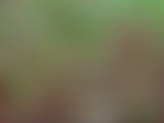 Wednesday November 29, 2023