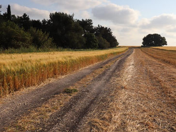 Sabbath April 13, 2024: