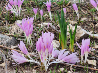 Monday December 4, 2023