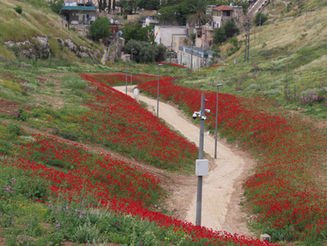 Sunday March 22, 2026