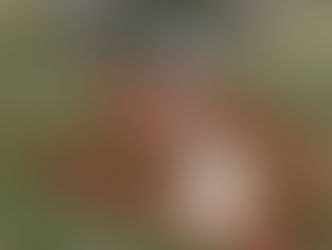 Sunday March 22, 2026