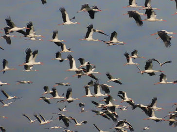 Sabbath March 16, 2024