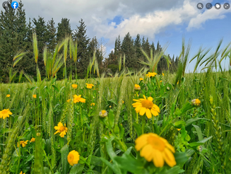 Monday February 27, 2023