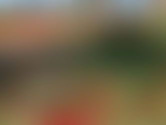 Thursday February 5, 2026