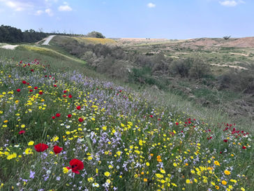 Sabbath March 7, 2026