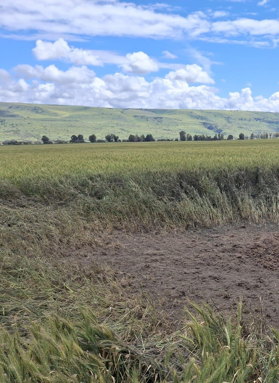 Wednesday April 1, 2026