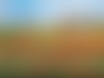 Friday February 17, 2023