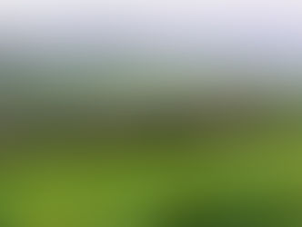 Friday March 13, 2026