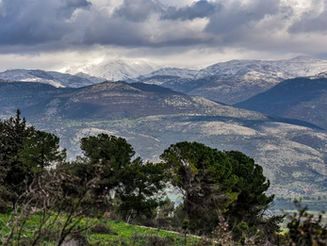 Friday February 27, 2026: Take 4