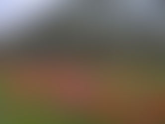 Tuesday March 18, 2025