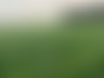 Thursday February 20, 2025