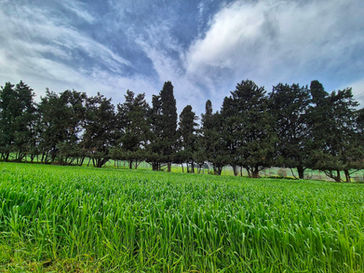 Sabbath January 24, 2026