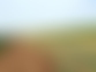 Sabbath March 30, 2024