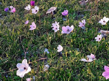 Sabbath February 1, 2025