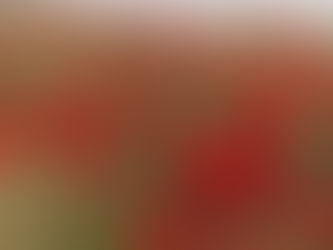 Sunday April 19, 2026