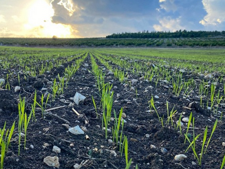 Sabbath December 3, 2022