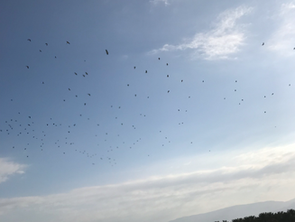 Thursday March 16, 2023