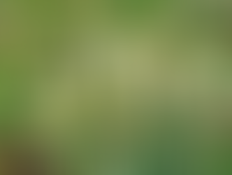 Sunday December 25, 2022