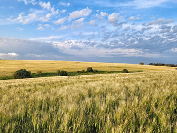 Tuesday March 26, 2024