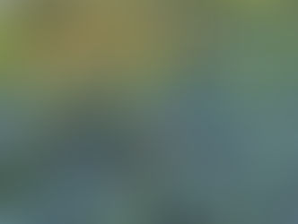 Tuesday February 25, 2025: Take 3