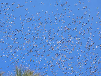 Monday March 23, 2026