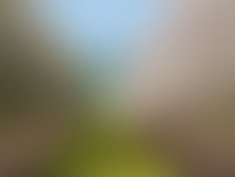 Sabbath March 8, 2025