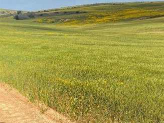 Thursday March 30, 2023