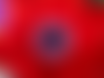 Monday February 5, 2024