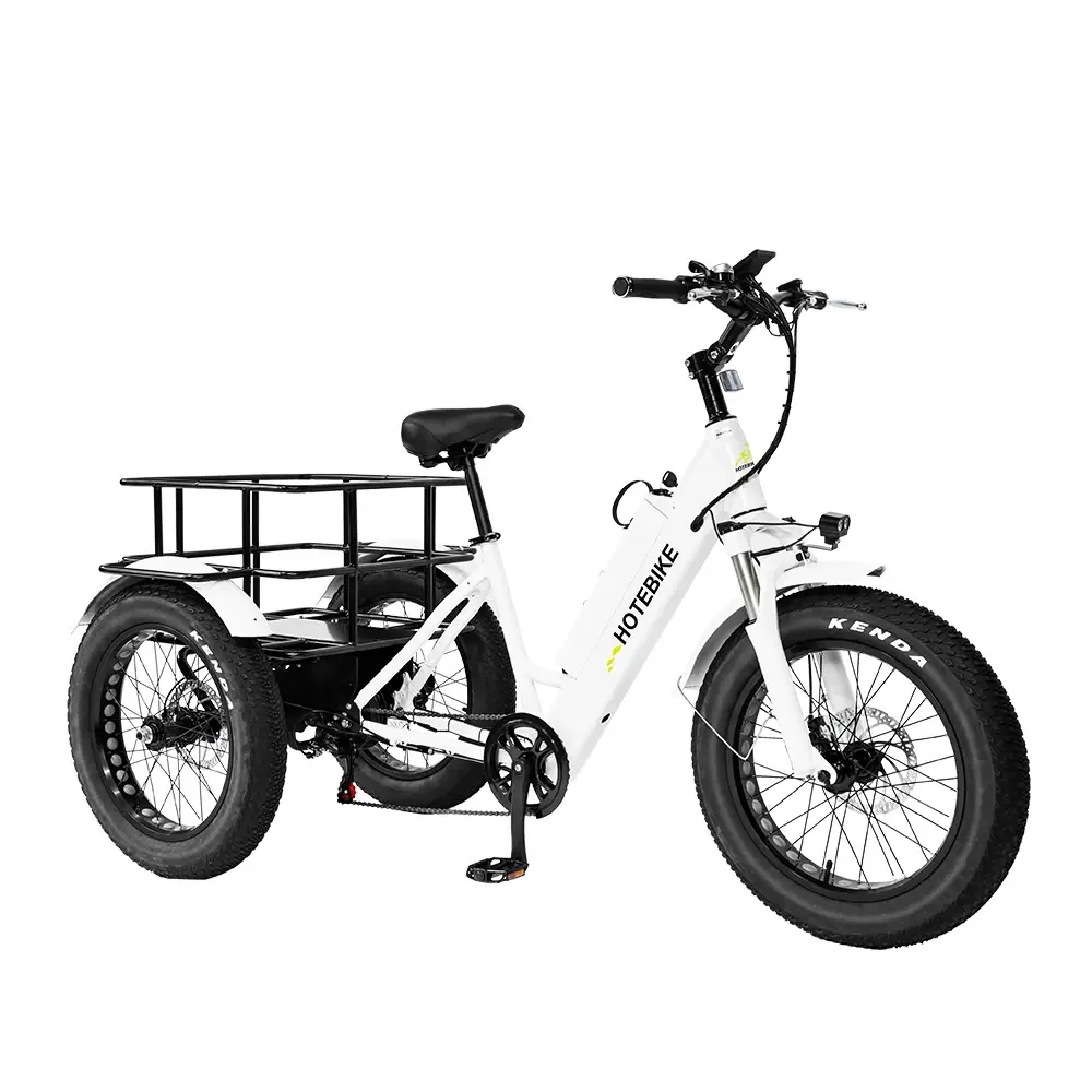 Long Range Electric Cargo Bike Fat Tire Electric Tricycle