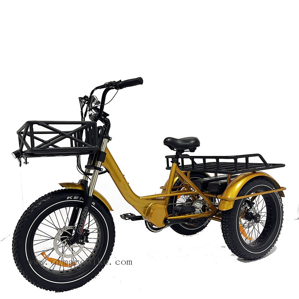 Thumbnail: 48v 1000w 20*4.0 Fat Tire Mid Drive Camping Electric Cargo Bike 3 Wheel Electric