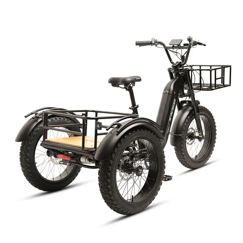 20 Inch E Delivery 3 Wheel Electric Cargo Bike Family 500W Motor Bike Electric B