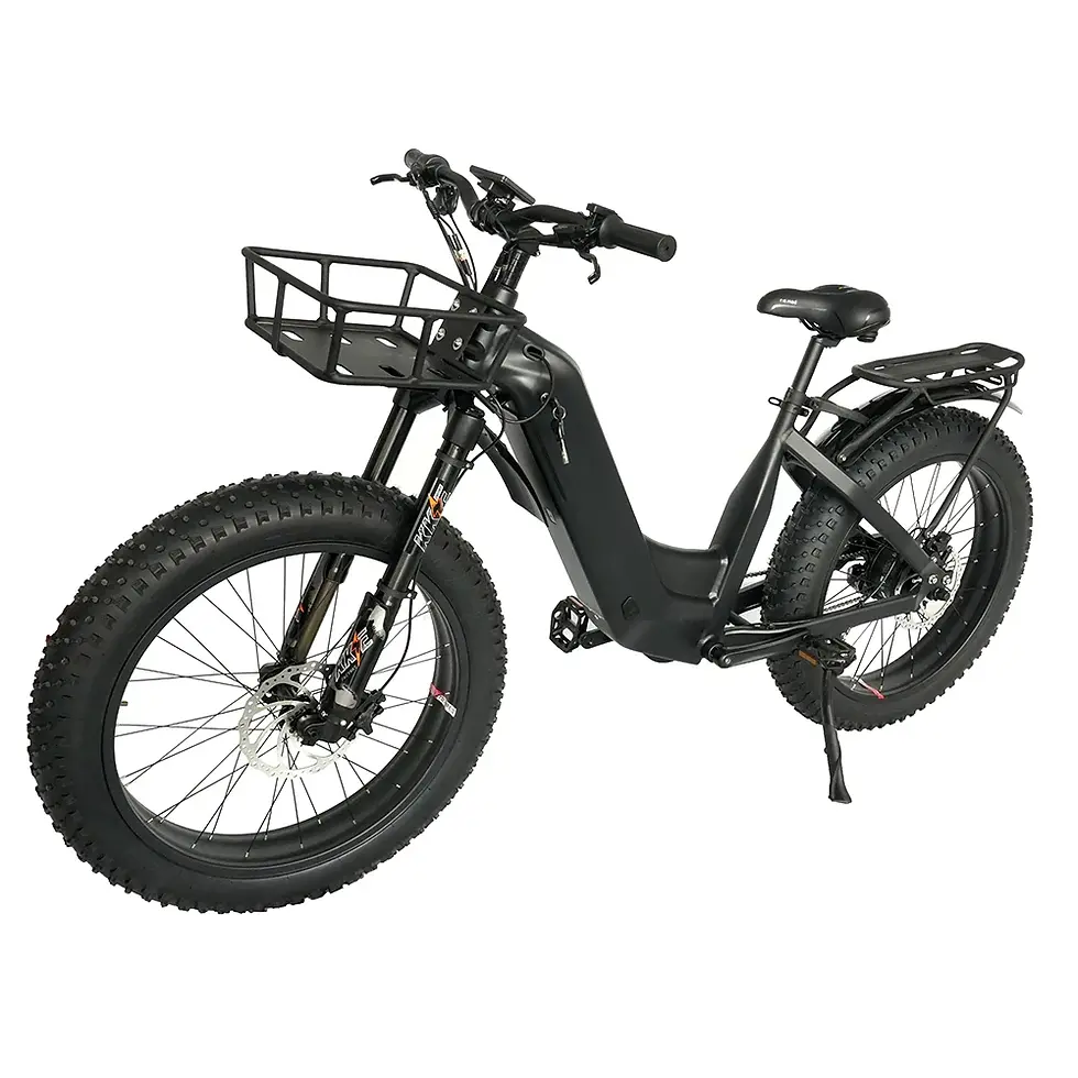 Miniaturebillede: 48V 15Ah Lithium Battery Aluminum Alloy Frame E-Tricycle 1000W Motor Electric Tr