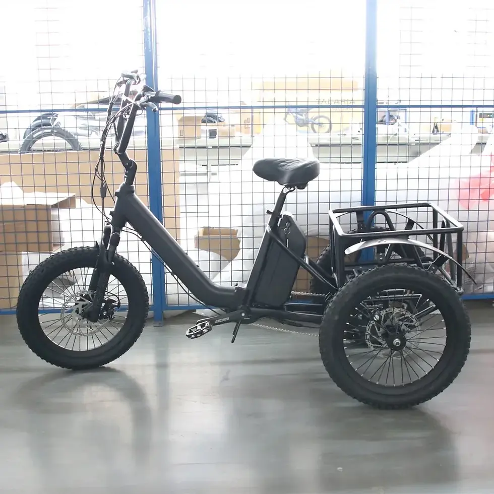 Miniaturebillede: 48V 15Ah Lithium Battery Aluminum Alloy Frame E-Tricycle 1000W Motor Electric Tr