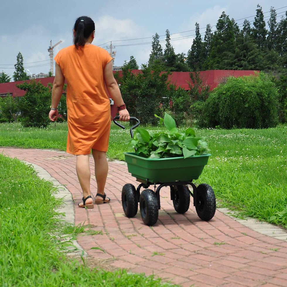 Pikkukuva: folding wagon  Poly Garden Dump Cart with Steel Frame and 10-inPneumatic Tires, 